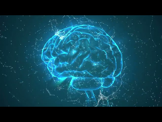 Brain Rotating 3D #freedownload #stockfootage