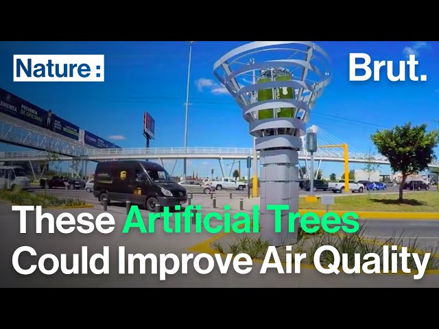 These Artificial Trees Could Improve Air Quality in Many Cities
