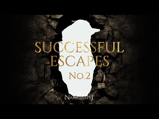 Successful Escapes : 2