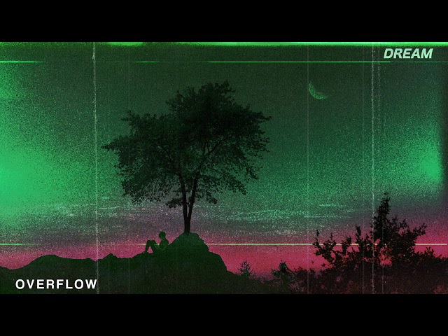 sapientdream - overflow