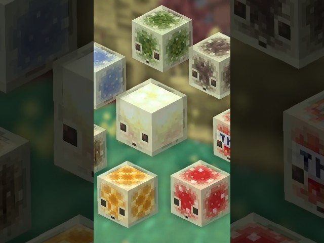 The MAJOR Flaw Of Minecraft’s CHAOS CUBED Drop