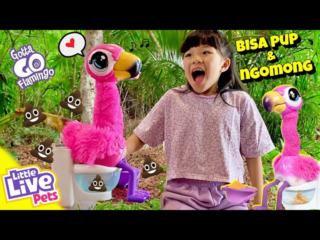 Buka Mainan Bisa Pup & Bisa Bicara?? Gotta Go Flamingo Little Live Pets Review & Unboxing