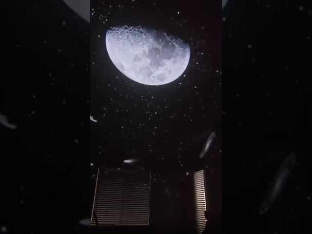 Transform Your Room into a Galactic Wonderland