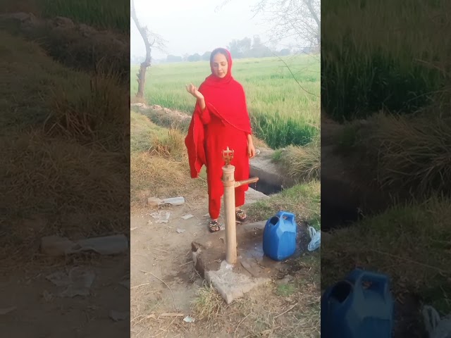 thank gae wachari #viral #punjabi #flyxo
