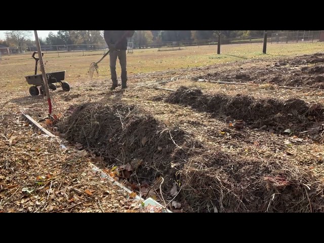Wood Chips
