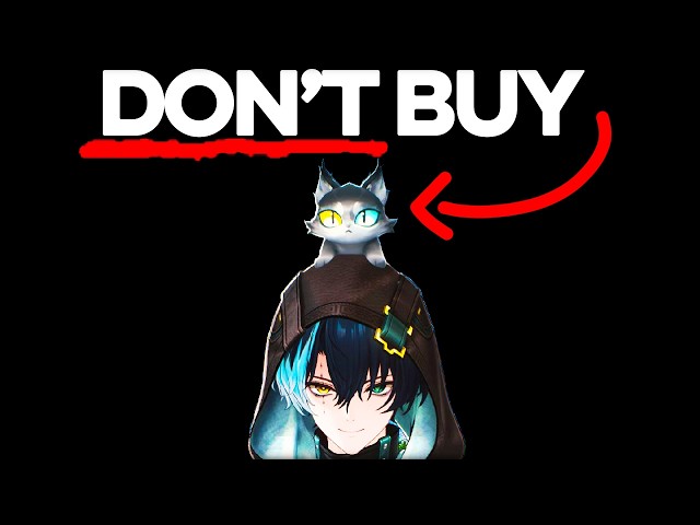 Why you should NOT buy Jingran's Cat Accessory