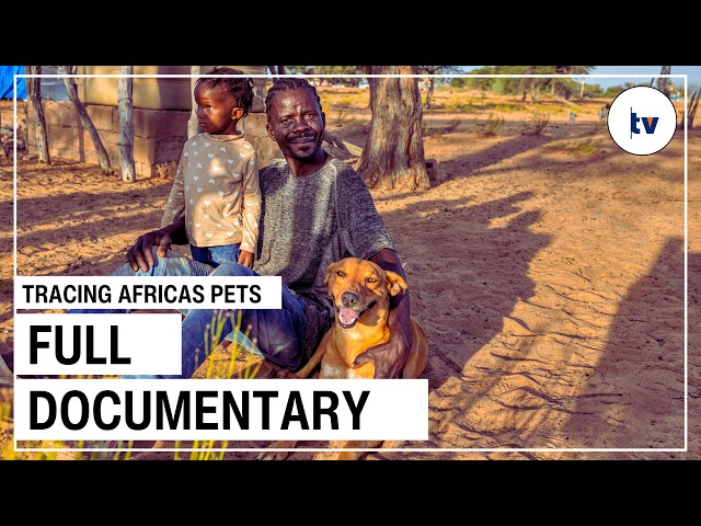 Tracing Africa's Pet