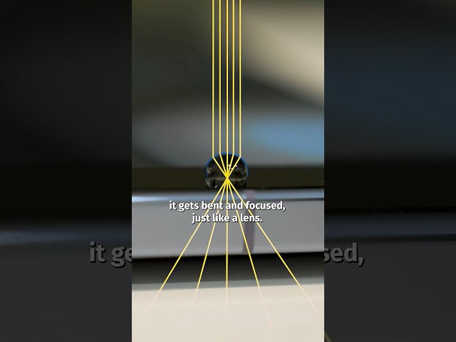I Turned My Phone Into A Microscope