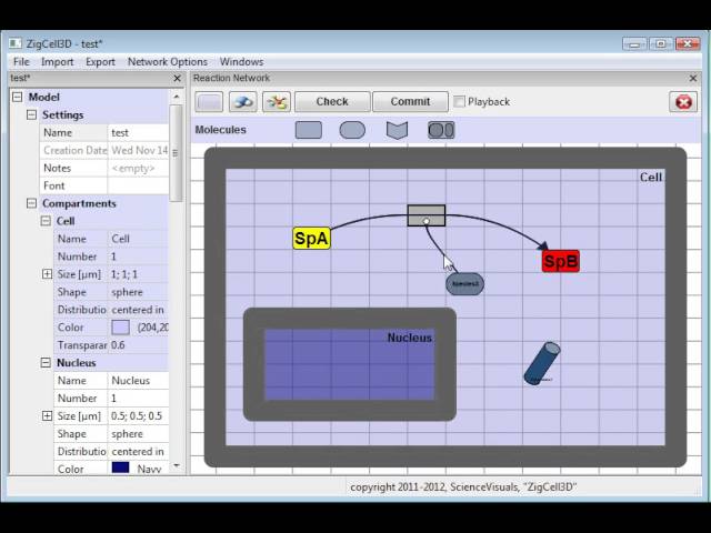 ZigCell3D - Building a Reaction Network for a Simple Signalling Cascade