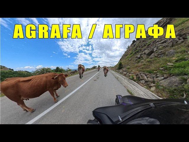 LOST & SURROUNDED 🤯 AGRAFA MOUNTAINS 🐂🌲