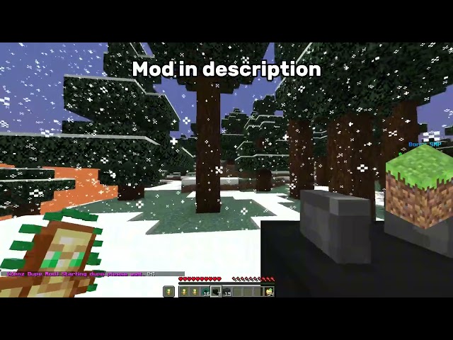 DonutSMP Item DUPE Glitch UNPATCHED