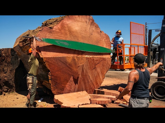 Most Satisfying Factory Machines You Won't Believe Exist