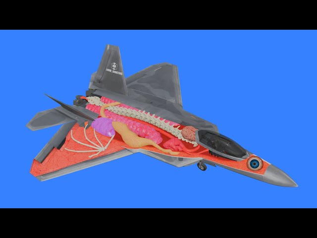 How a plane works