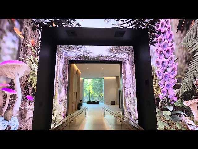 The coolest hallway in tech? Inside Microsoft's Experience Center One
