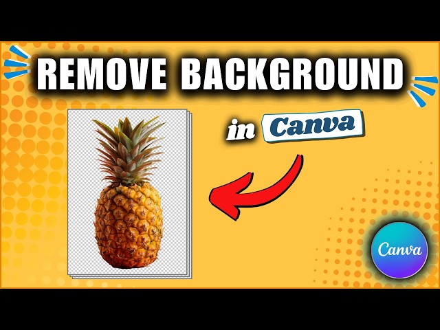 How to Remove Image Background in Canva