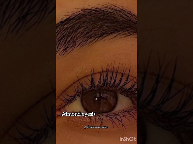 Different types of eyes!! #aesthetic