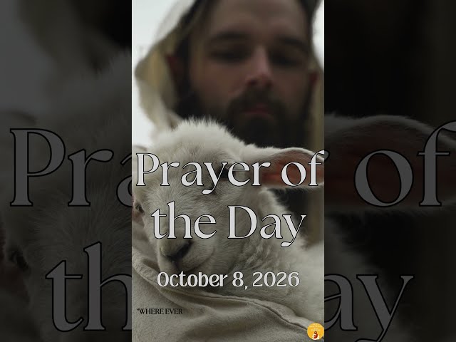 Prayer of the Day | October 8, 2026 #prayer #dailyprayer #jesuslovesyou