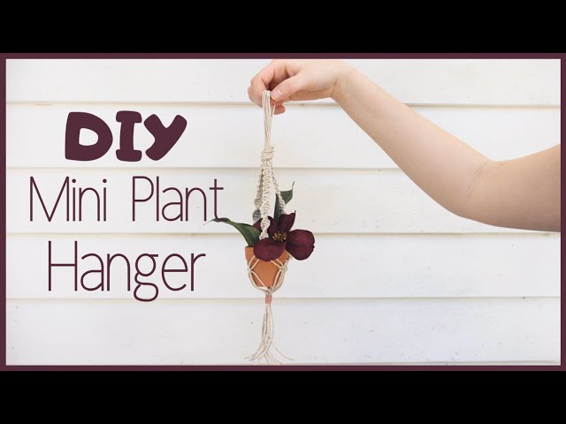 DIY Mini Macrame Plant Hanger | Hemptique