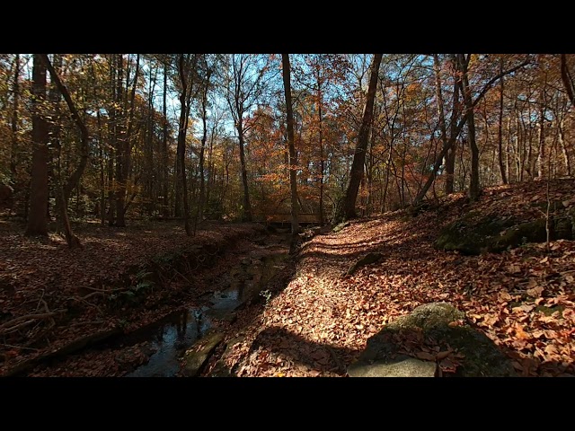 SLAM XCAM: Falling Leaves, Sandy Springs GA (VR180)