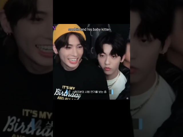 Forever Soobin's baby kitten 🥹❤️ #taehyun #soobin #txt #tomorrow_x_together #taebin