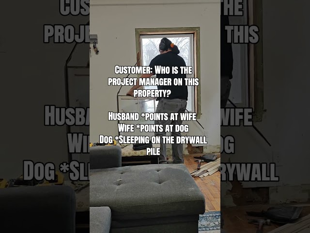 The actual CEO of our remodeling business. 🐶🛠️#RenovationHumor #FunnyContractor #HusbandWifeTeam