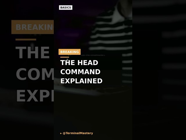 The Head Command Explained