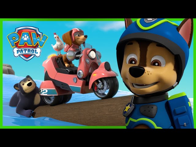 Chase and Liberty Track Down Benny & Chickaletta 🐓| PAW Patrol Episode | Cartoons for kids