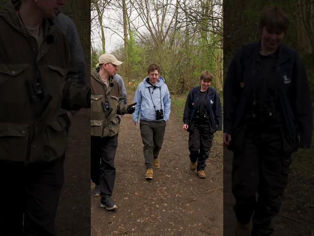 Elis James and John Robins go birdwatching at the London Wetland Centre