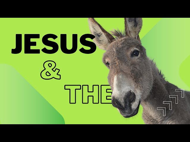 Jesus and the Donkey: a Palm Sunday Message