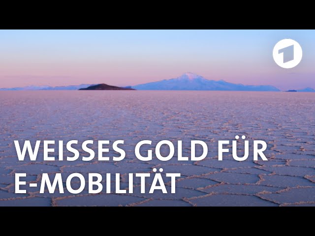Welche Folgen hat unser Run auf Lithium? I Weltspiegel fragt