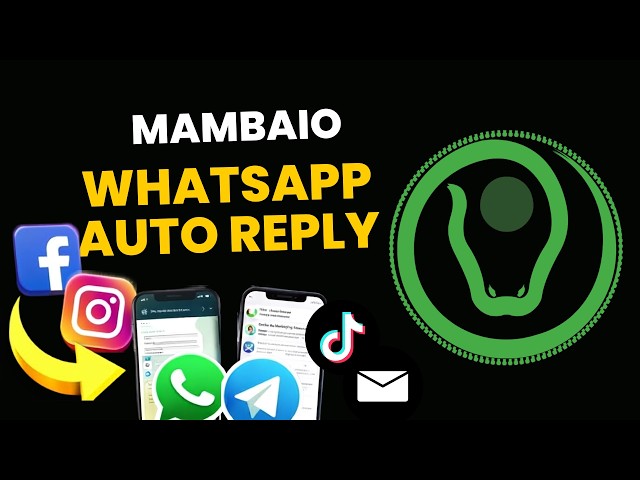 WhatsApp Auto Reply Guide | MambaiO Official WhatsApp API Tutorial