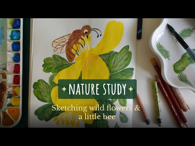 Nature Study | Sketching Wild Flowers & a Little Bee 🐝🌼