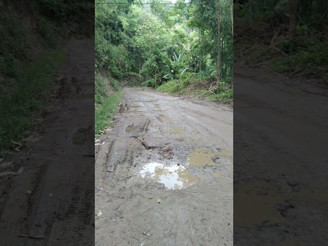 The NH-702 D Mariani - Mokochung stretch from Longtho to Changki Village in #Nagaland