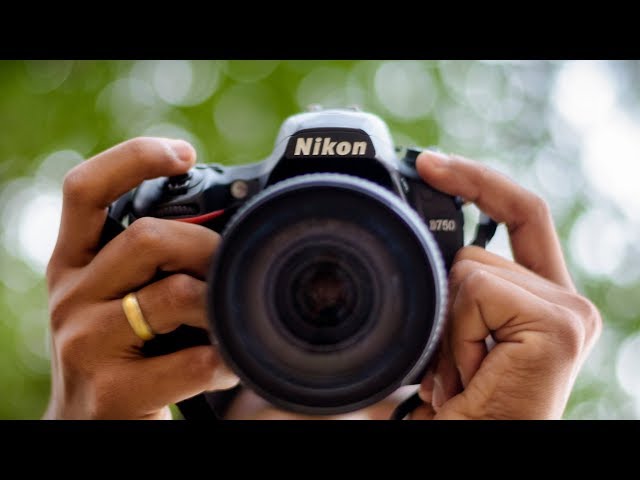Master the DSLR in Minutes | Photography Tutorial!