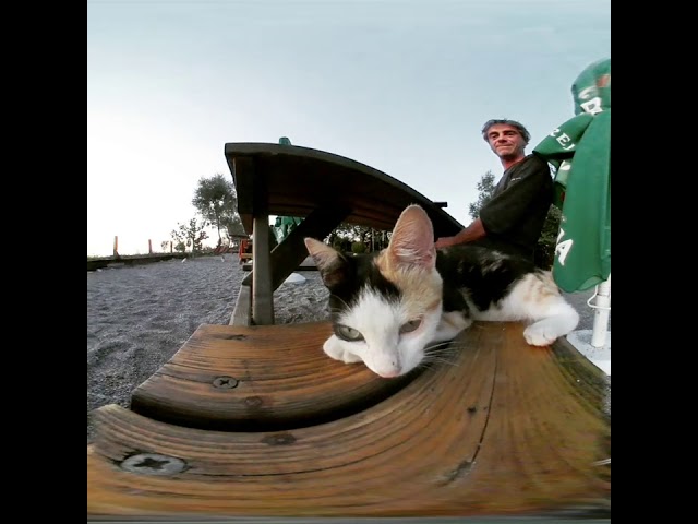 360°Video  Albanian Cat Does not like VR Cam / Christian Raum