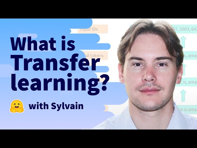 What is Transfer Learning?