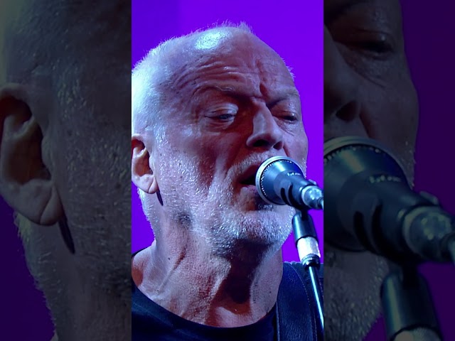 David Gilmour - The Girl In The Yellow Dress (Later...with Jools Holland, 29 Sep 2015)