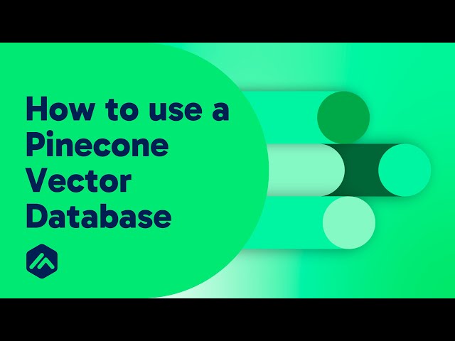 Use RAG with a Pinecone Vector database on the Data Productivity Cloud