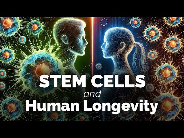 A Closer Look at...Stem Cells and Human Longevity