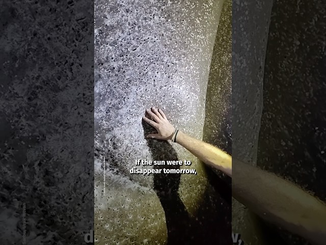 World’s Largest Spiderweb