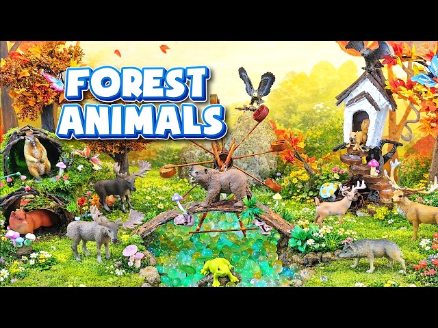 Exploring the Forest Animals Diorama | Learn Wild Animals for Kids 🐻🦌