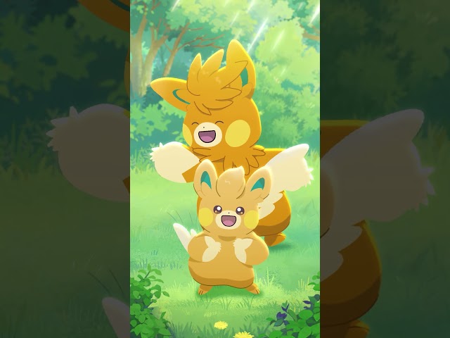 Pawmi, Pawmo, Pawmot | POKÉTOON