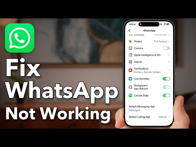 How To Fix WhatsApp Not Working On iPhone