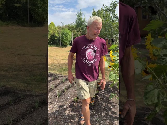 How Often Should You Water Vegetables? | No Dig Watering Tips for Hot Weather