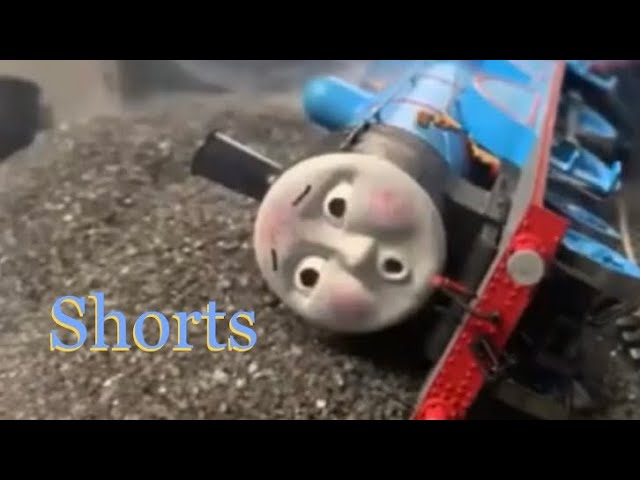 Shorts from 2019