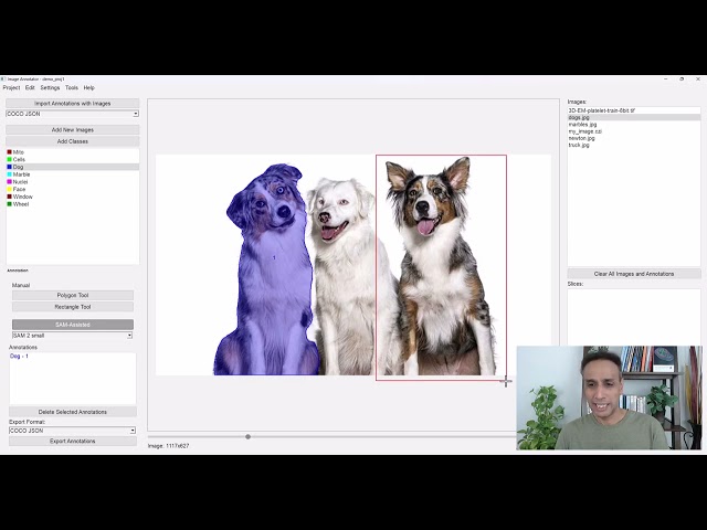Annotate Images Like a Pro: Python Image Annotation Tool Walkthrough