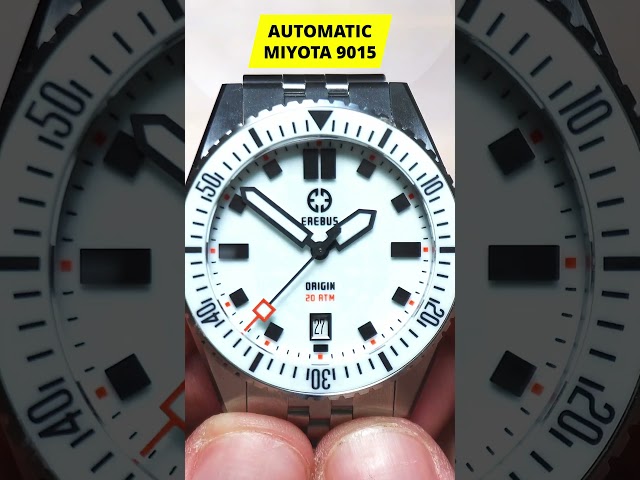 INSANE $499 DIVE WATCH