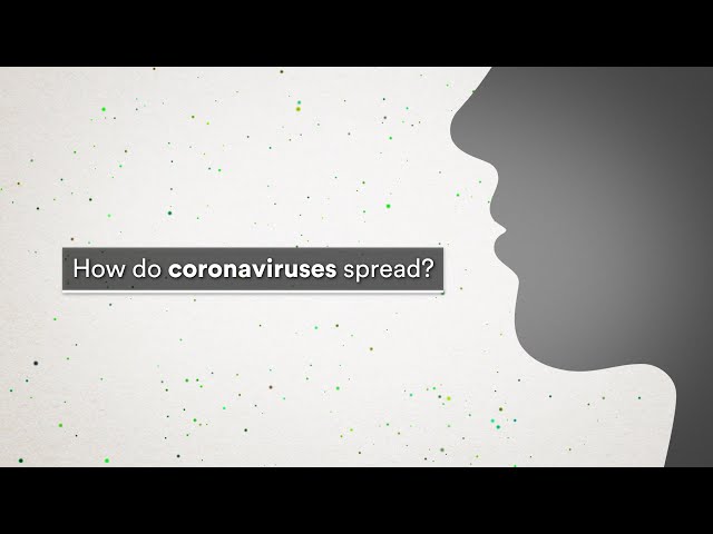 How do coronaviruses spread?