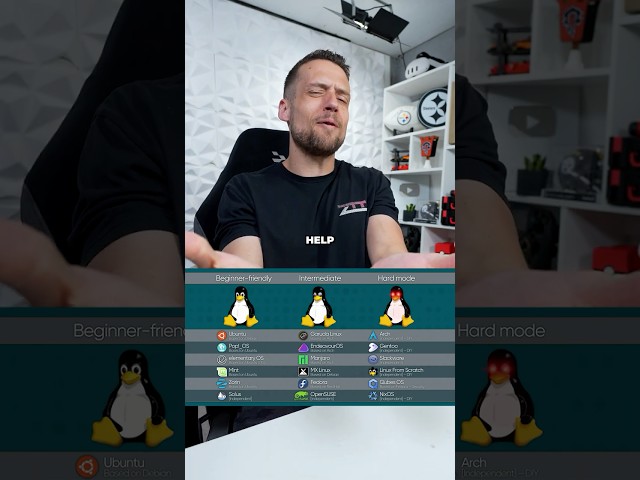 Which Linux Distro Should I Daily Drive?