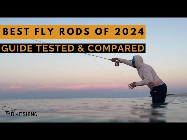 Best Fly Rods of 2024 (Guide Tested & Compared)